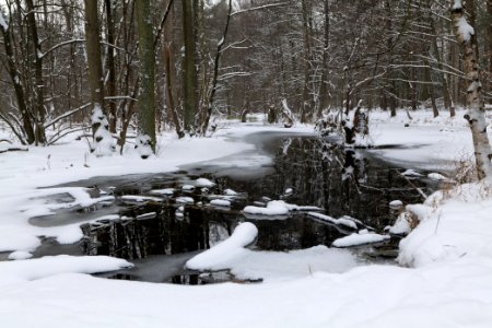 Kuhlake Spandauer Forst with ice and snow 2021-02-09 09