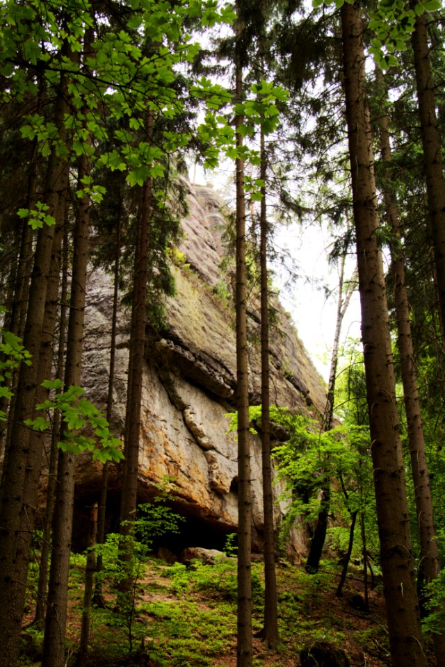 Kuhstall 2012-05-27-7621