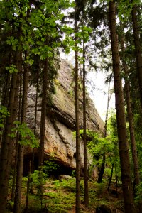 Kuhstall 2012-05-27-7621