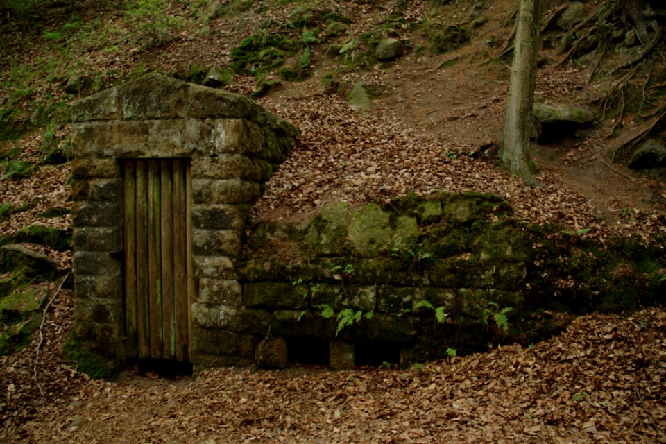 Kuhstall 2012-05-27-7625