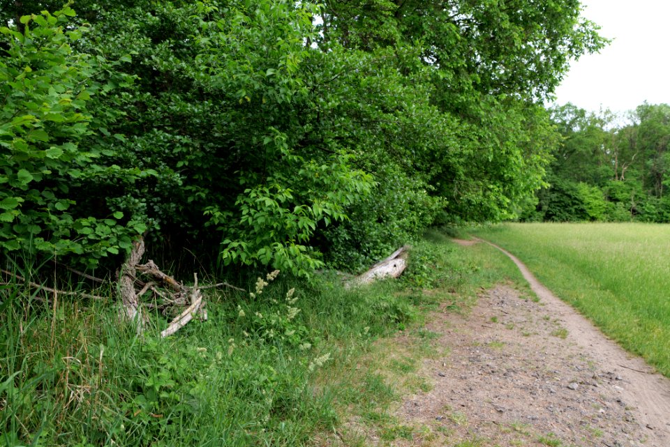 Kuhlake end at Eiskeller 2020-06-03 04