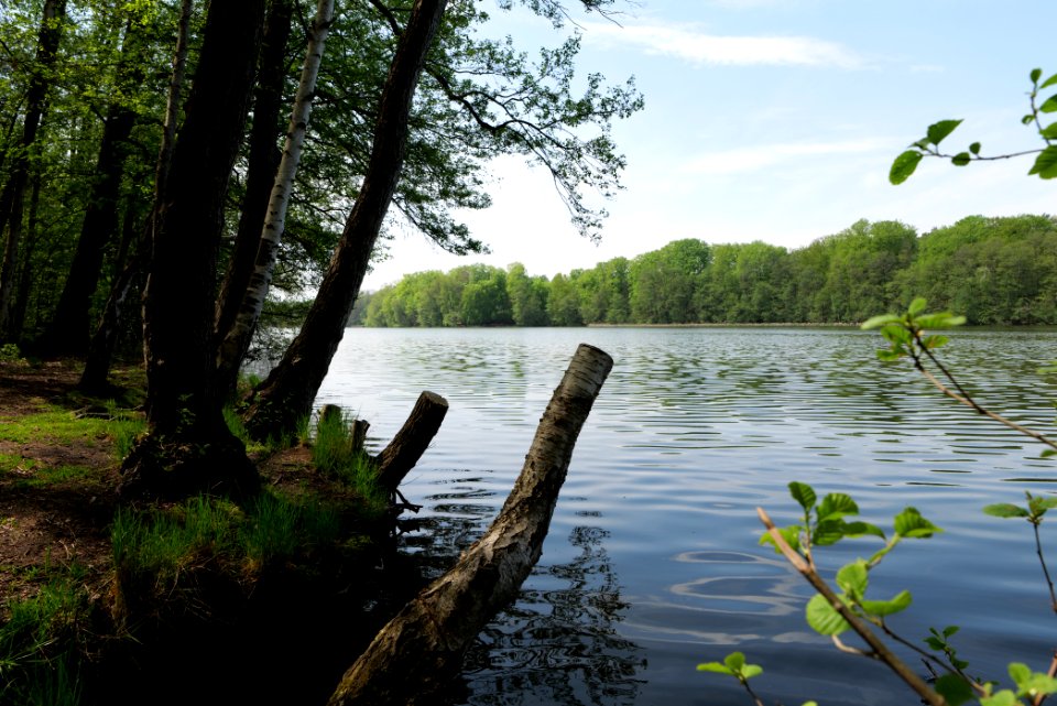 Krumme Lanke Rangsdorfer See 2021-05-11 07