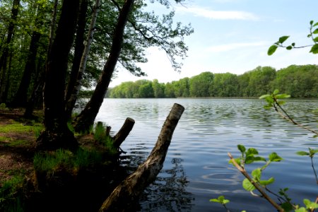 Krumme Lanke Rangsdorfer See 2021-05-11 07