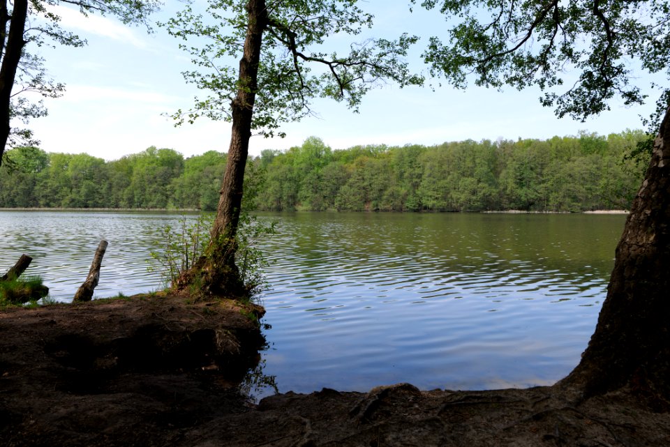 Krumme Lanke Rangsdorfer See 2021-05-11 06