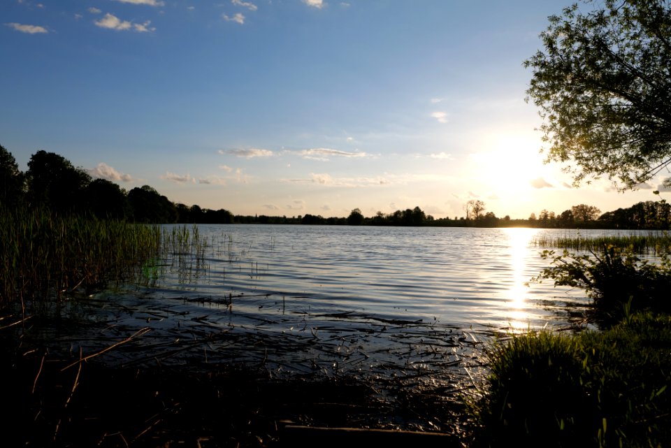 Krummer See Friedrichswalde 2021-05-29 02