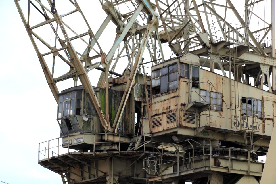 Cranes schelde lifting photo