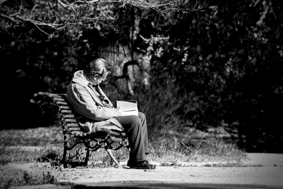 Park old sitting in the park forest