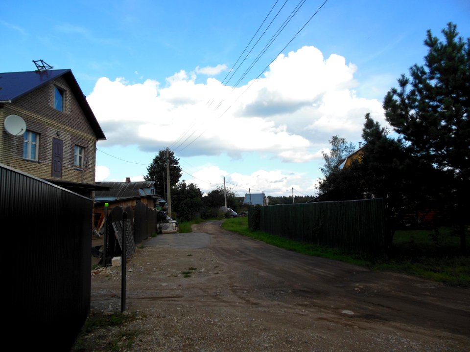 Kuchi (Istrinsky District) 3