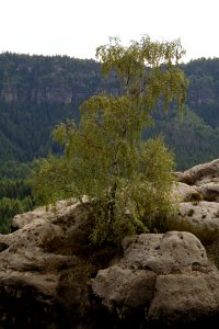 Kuhstall 2012-05-27-7595