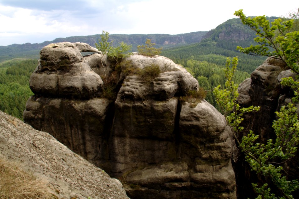 Kuhstall 2012-05-27-7526