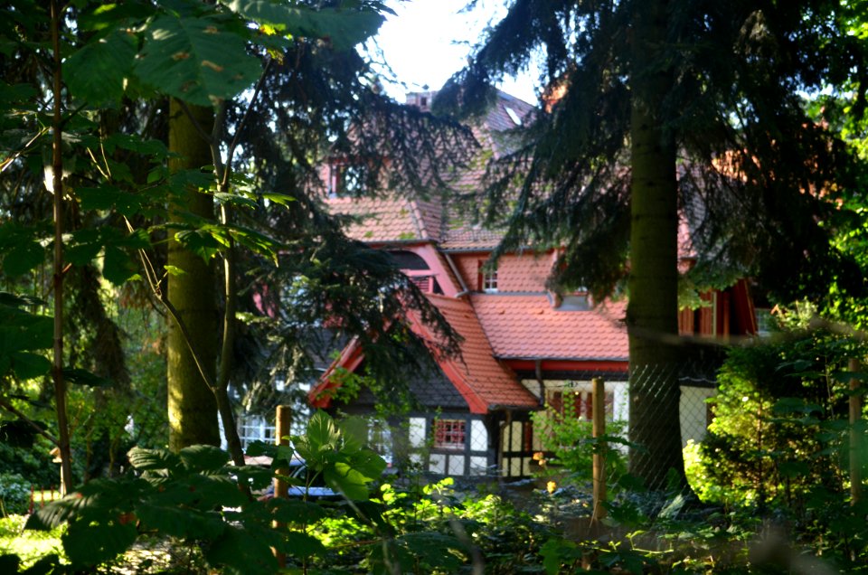 Kronbeg, Villa von Kauffmann