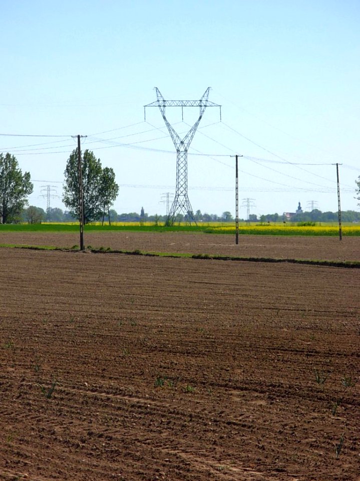 Kujawy krajobraz 7