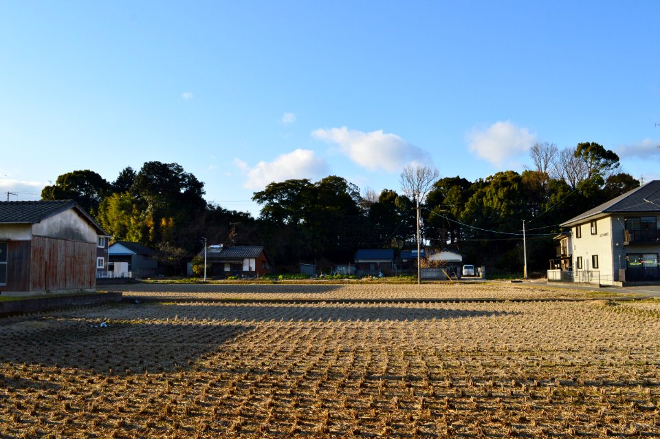 Kujirayama Kofun, zenkei