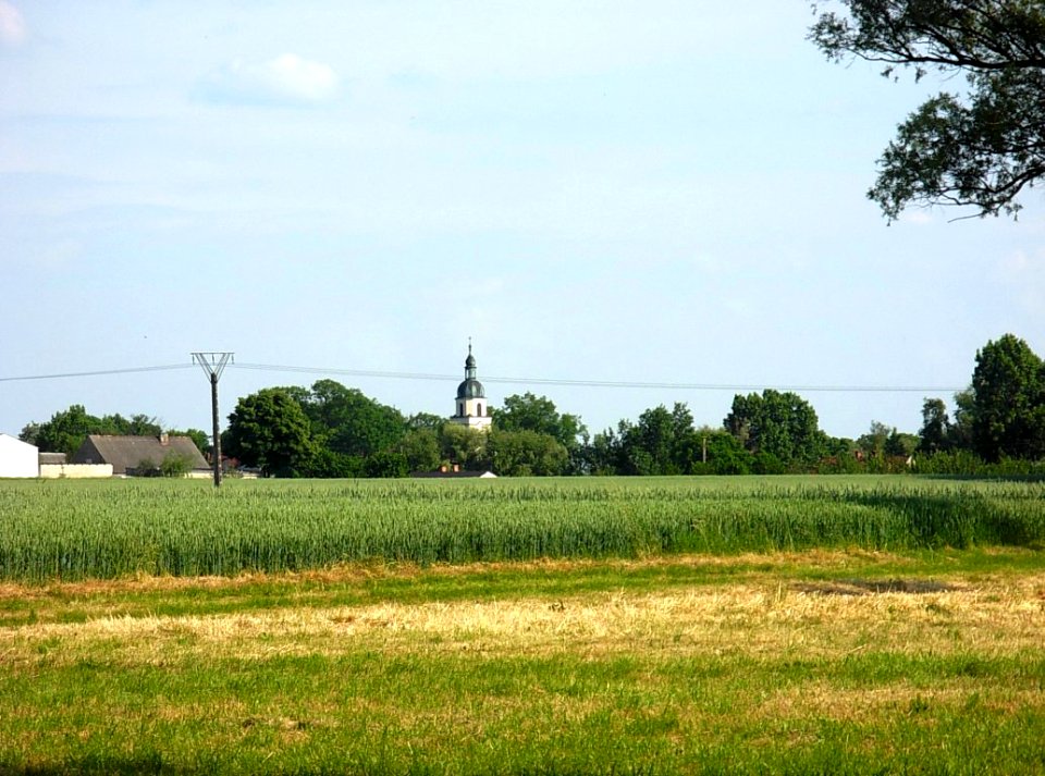 Kujawy wieś
