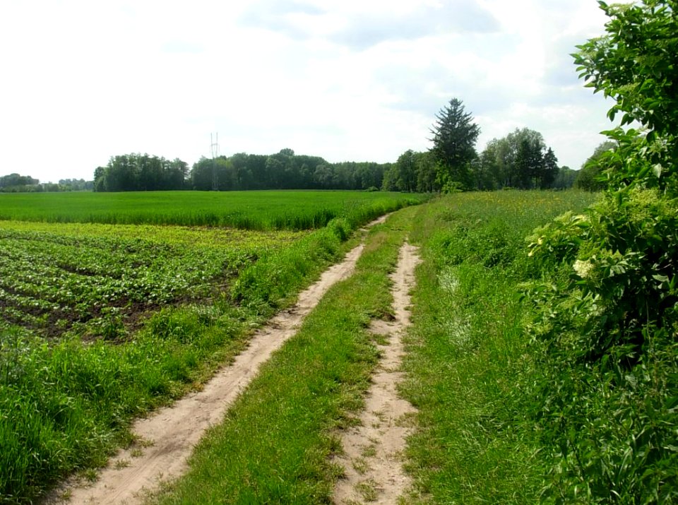 Kujawy krajobraz 9
