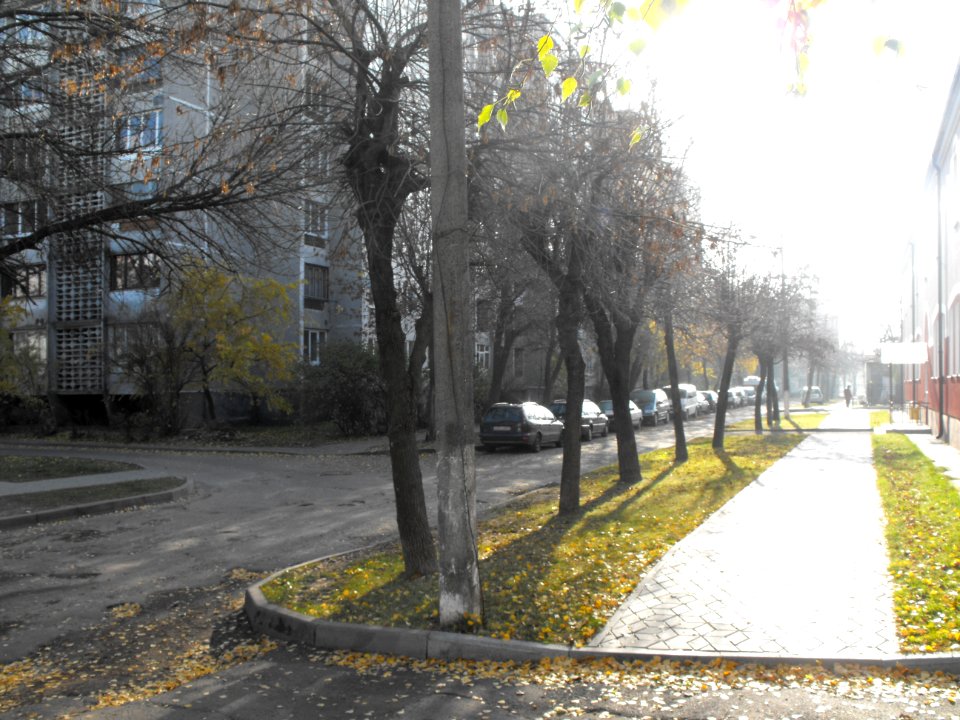 Kuibyshev street (Ghetto - ul. Dluga) 1b