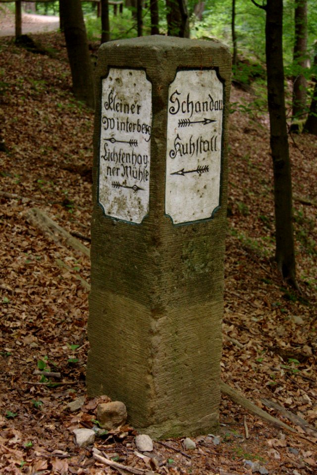 Kuhstall 2012-05-27-7623