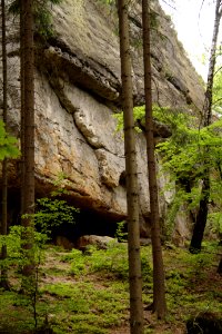 Kuhstall 2012-05-27-7622