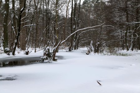 Kuhlake Spandauer Forst with ice and snow 2021-02-09 08