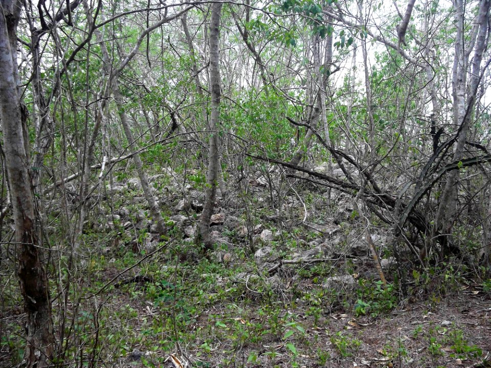 Kukab, Yucatán (02)