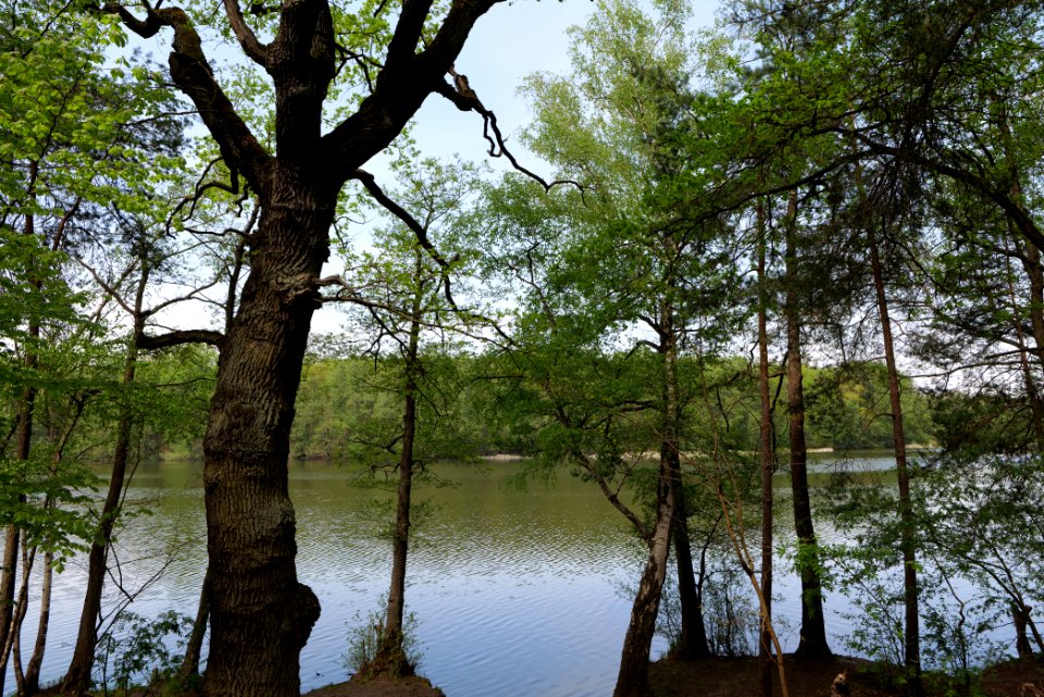 Krumme Lanke Rangsdorfer See 2021-05-11 11