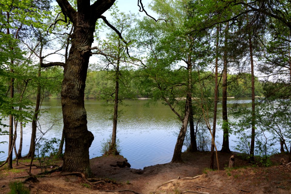 Krumme Lanke Rangsdorfer See 2021-05-11 10