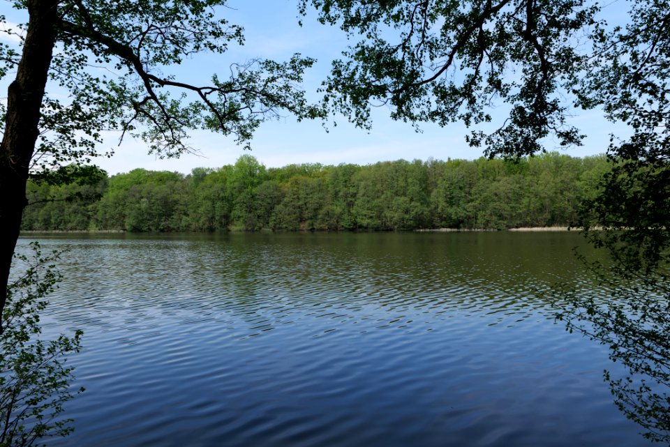 Krumme Lanke Rangsdorfer See 2021-05-11 05