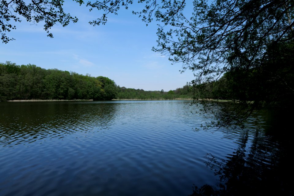 Krumme Lanke Rangsdorfer See 2021-05-11 01