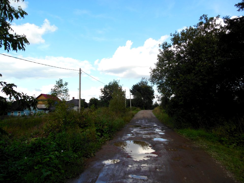 Kuchi (Istrinsky District) 2