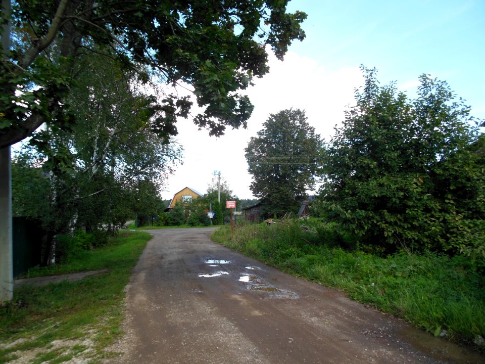 Kuchi (Istrinsky District) 1