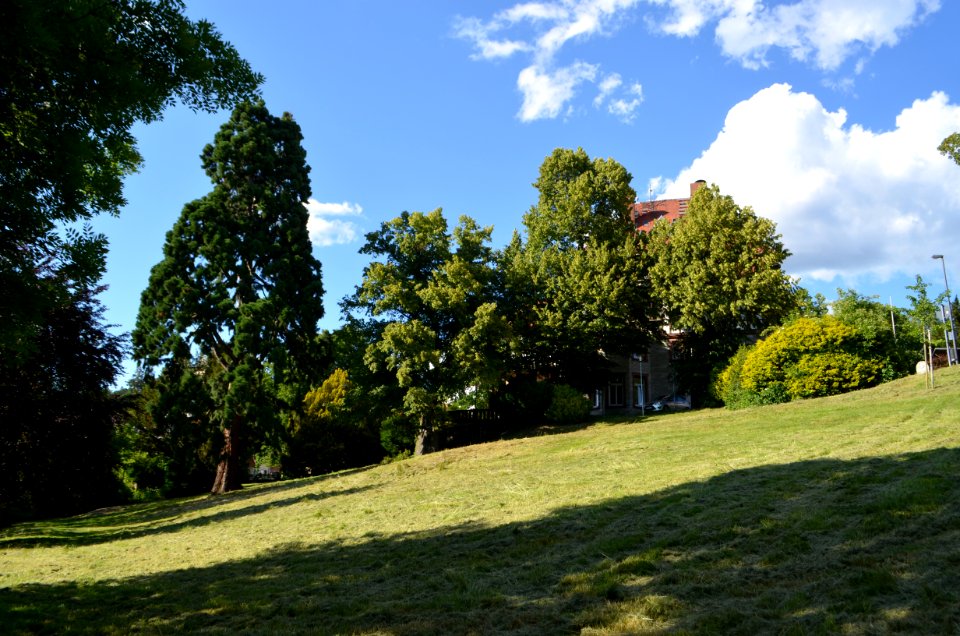 Kronberg, Rathausgarten