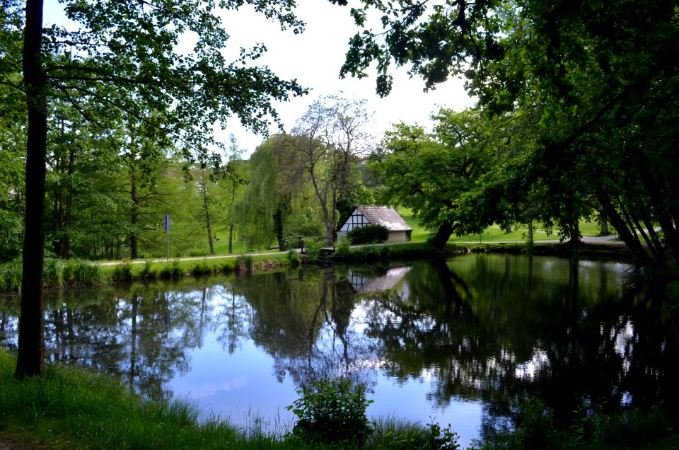 Kronberg, Victoriapark, Bleichweiher