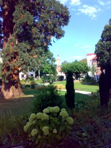 Kronberg Schulgarten mit Blick auf die Burg