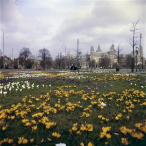 Krokussen, Bestanddeelnr 254-7104