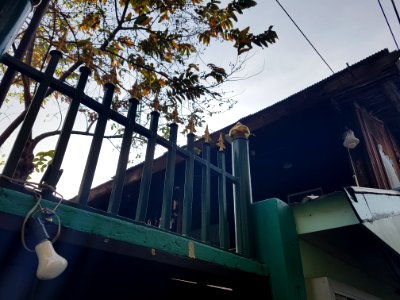 Kudi Chin community - 2017-02-25 (029)