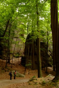 Kuhstall 2012-05-27-7614