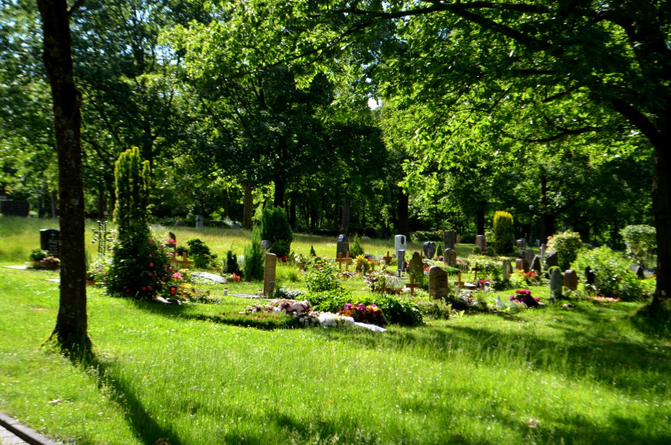 Kronberg, Friedhof Thalerfeld, Gräber