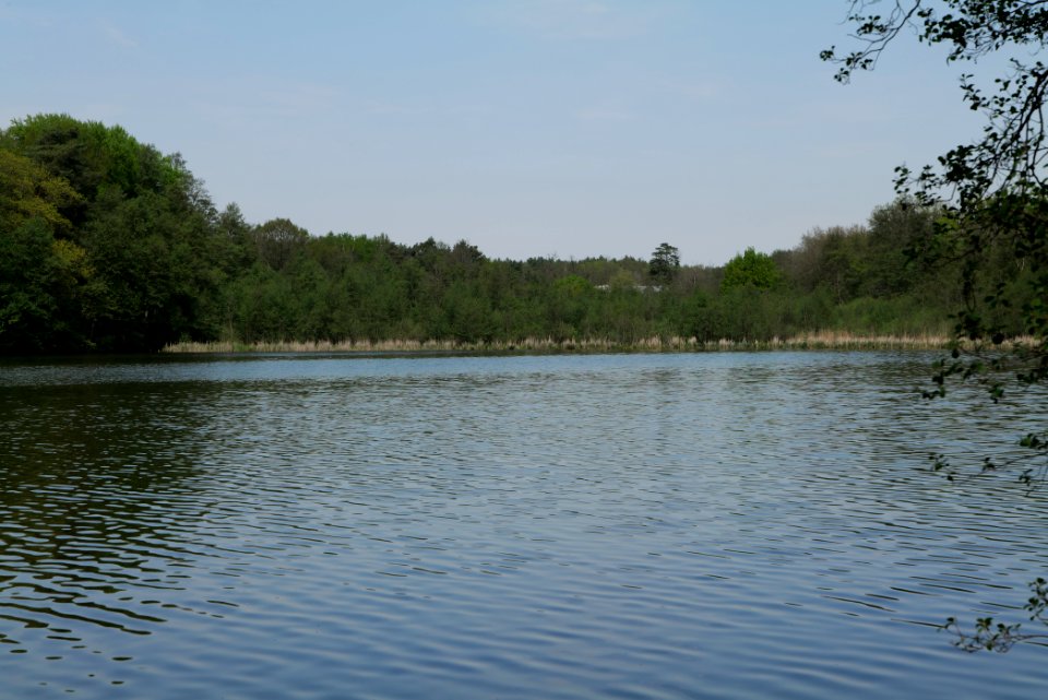 Krumme Lanke Rangsdorfer See 2021-05-11 03