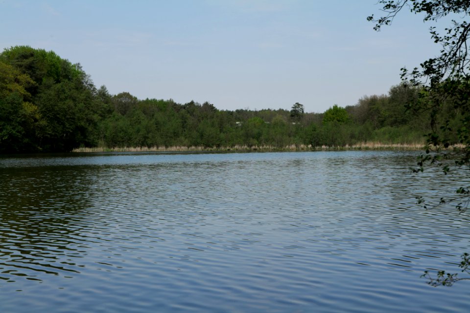 Krumme Lanke Rangsdorfer See 2021-05-11 04