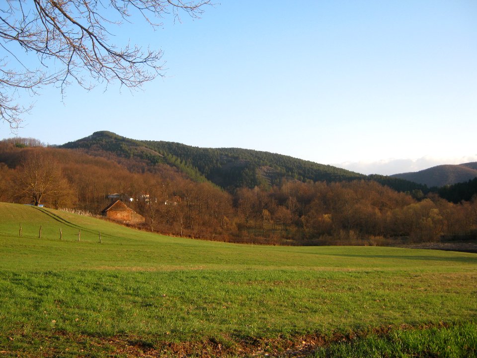 Krvavac