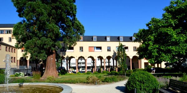 Kronberg, Schulgarten
