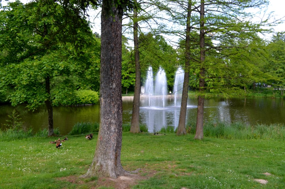 Kronberg, Victoriapark, Schillerweiher (1)