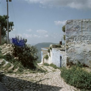 Kunstenaarskolonie bij Safad (Safed) Straatje met rechts op de muur het opschri, Bestanddeelnr 255-9311
