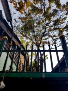 Kudi Chin community - 2017-02-25 (030)