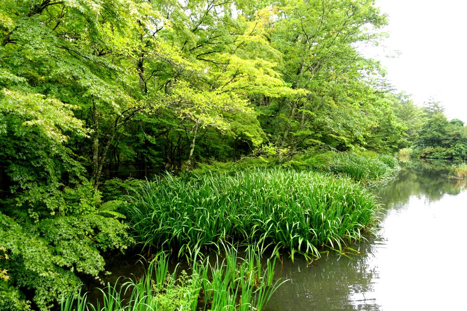 Kumoba-ike - Karuizawa, Japan - DSC02191