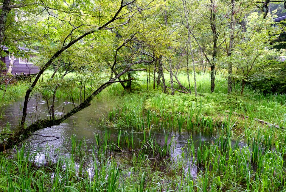 Kumoba-ike - Karuizawa, Japan - DSC02164