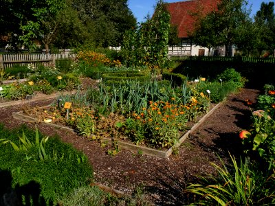KuernbachGartenHuebH1a