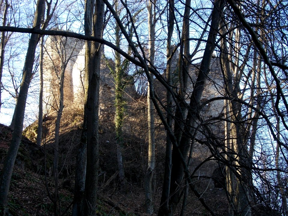 Kunšperk Castle 31