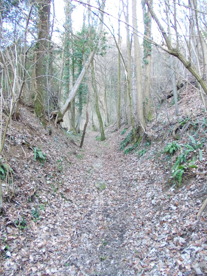 Kunšperk 43