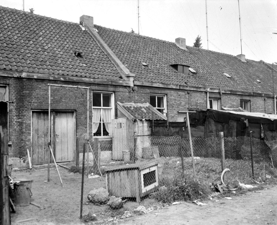 Krotwoningen in Nijmegen in het Willemshof, overzicht Willemshof, Bestanddeelnr 915-2011